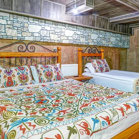 Atax Cave House * Avanos