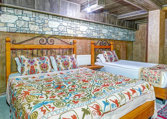 Atax Cave House * Гореме